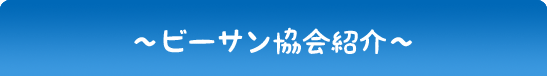 ビーサン協会紹介